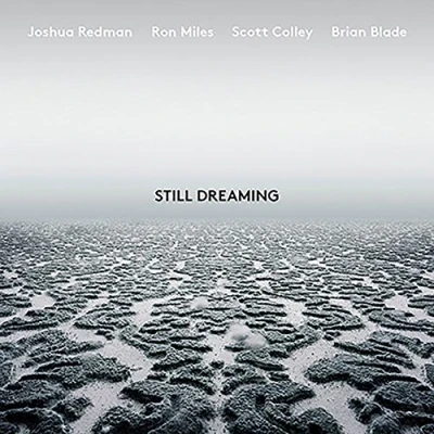 Abbildung von Still Dreaming