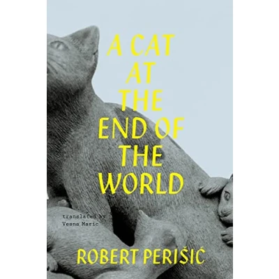 Abbildung von A Cat at the End of World