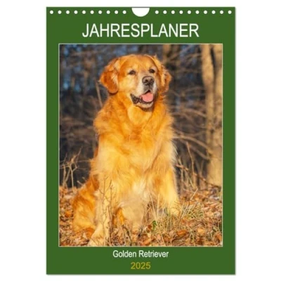 Abbildung von Jahresplaner Golden Retriever (Wandkalender 2025 DIN A4 hoch), CALVENDO Monatskalender