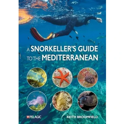 Abbildung von A Snorkeller’s Guide to the Mediterranean: Photographic Id Most Commonly Encountered Marine Species