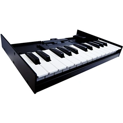 Abbildung von Roland Boutique K 25M Keyboard Unit