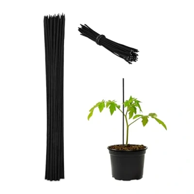Abbildung von relaxdays Rankhilfe Schwarze Pflanzstäbe 30 cm im 50er Set