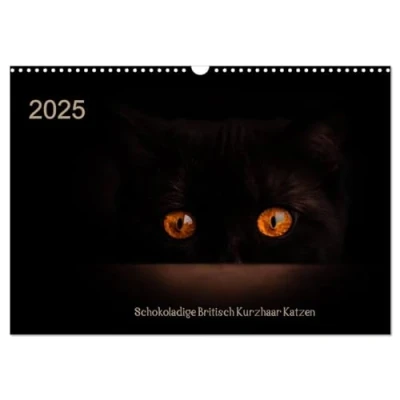 Abbildung von Schokoladige Britisch Kurzhaar Katzen (Wandkalender 2025 DIN A3 quer), CALVENDO Monatskalender