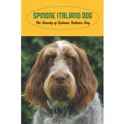 Abbildung von Spinone Italiano Dog: The Beauty of Dog History, Health and Breed