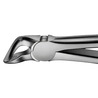Abbildung von ANATOMICA Zahnzange Figur 31 UK Prämolaren &amp; Wurzeln