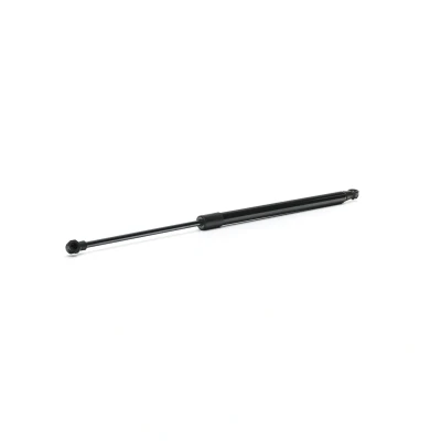 Abbildung von RIDEX 219G1127 Heckklappendämpfer 590 496 hinten RENAULT: Scénic IV