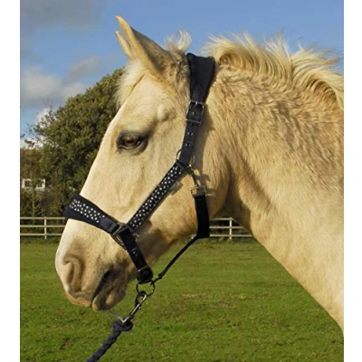 Abbildung von Rhinegold Star Spangled Halfter und Seil Set, rot, Pony