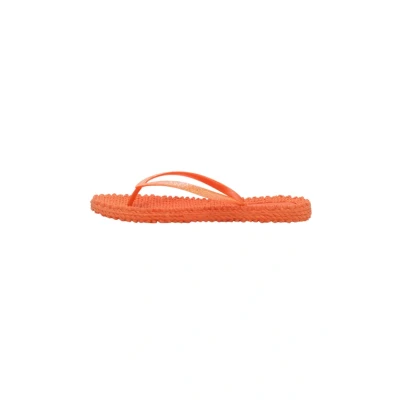 Abbildung von Ilse Jacobsen Cheerful Badezehentrenner, Damen, Größe: 36, Hot orange Schuhe