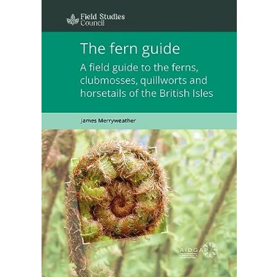 Abbildung von the Fern Guide: A Field Guide to Ferns, Clubmosses, Quillworts and Horsetails of British Isles