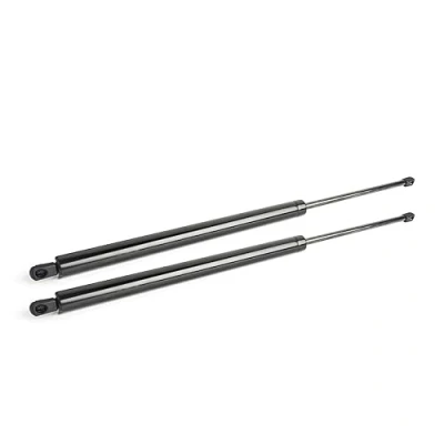 Abbildung von LST 2x Gasdruckfeder Heckklappen Dämpfer 1060 N Camper W447
