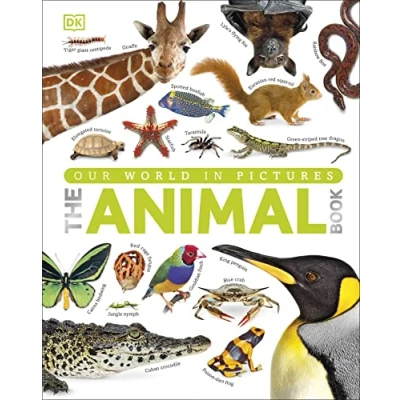 Abbildung von The Our World in Pictures Animal Book: A Visual Encyclopedia of Life on Earth (DK Pictures)