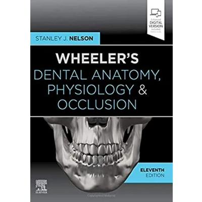 Abbildung von Wheeler&#039;s Dental Anatomy, Physiology and Occlusion: Expert Consult