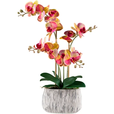 Abbildung von Creativ green Kunstorchidee &quot;Orchidee Phalaenopsis&quot;, mit außergewöhnlicher Zementschale