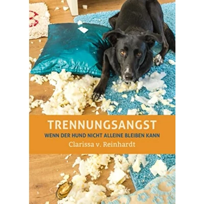 Abbildung von Trennungsangst: Wenn der Hund nicht alleine bleiben kann