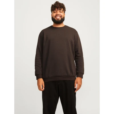 Abbildung von Jack &amp; Jones PlusSize Sweatshirt &quot;JJEBRADLEY SWEAT CREW NOOS PLS&quot;