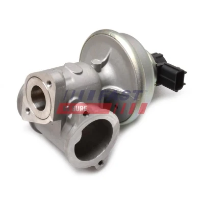 Abbildung von AGR Ventil FAST FT60224