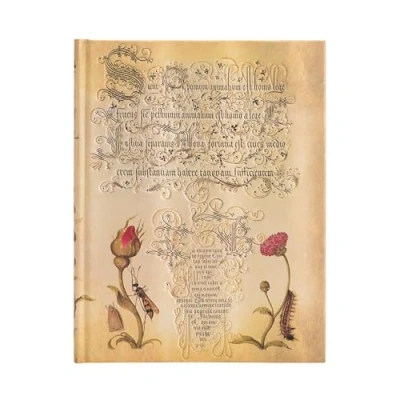 Abbildung von Flemish Rose Ultra Lined: Hardcover, 120 gsm, ribbon marker, memento pouch, elastic closure, book edge printing (Mira Botanica)