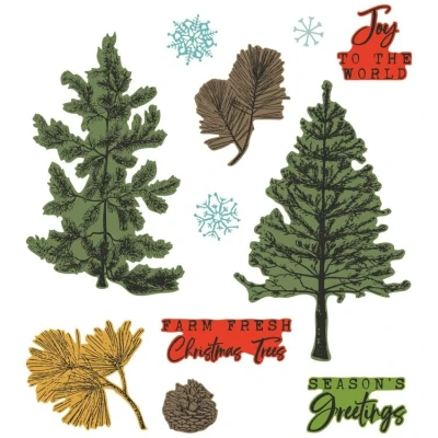 Abbildung von Sizzix Transparente Stempel mit Rahmen, A5, Motiv: Pine Holidays by 49 and Market