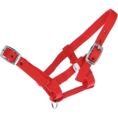 Abbildung von HB Halfter Nylon Rot Fohlen Mini