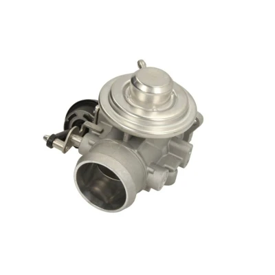 Abbildung von MAGNETI MARELLI 571822112048 AGR Ventil VOLKSWAGEN: Polo IV Schrägheck, SKODA: Fabia 1 Combi, I Octavia Combi