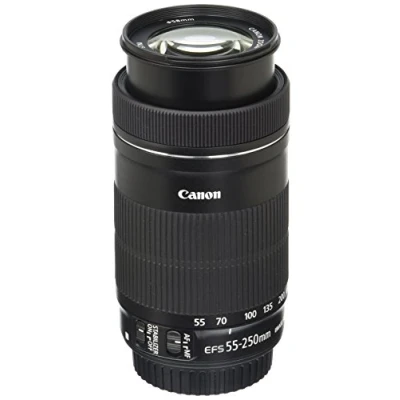 Abbildung von Canon EF S 55 250mm F4 5.6 IS STM Objektiv für Spiegelreflexkameras von