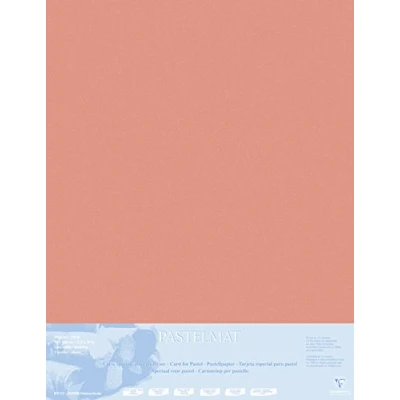 Abbildung von Clairefontaine 396012C Zeichenbögen (Packung mit 5 Bögen Pastelmat auf Karton kaschiert, 1800 µm, 70 x 100 cm, ideal für Trockentechniken und Pastell) sienna