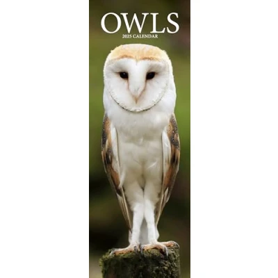 Abbildung von Owls Eulen 2025: Original Avonside Kalender Slimline [Mehrsprachig] [Kalender] (Slimline Kalender)