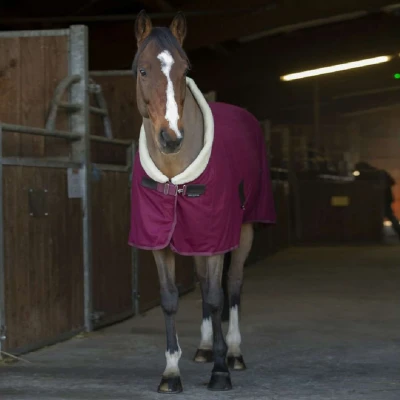 Abbildung von EQUITHÈME Cooler Teddy Weinrot/Cremeweiß 165/215