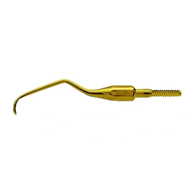 Abbildung von American Eagle XP Universal Quik Tip Langer 6, Anterior Distal