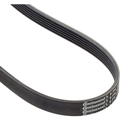 Abbildung von CONTITECH 6PK1800 Keilrippenriemen 1800 6 OPEL: Vectra B Caravan, Astra F CC, BMW: 1 Schrägheck, Coupe, Cabrio