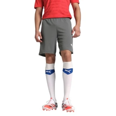 Abbildung von Puma Teamrise MAND kurze Sporthose, Herren, Größe: Small, Grauweiss