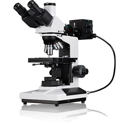 Abbildung von BRESSER Science ADL 601 P 50 600x Mikroskop Auf und Durchlichtmikroskop