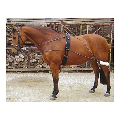Abbildung von Harry&#039;s Horse Lungenhilfen Pony Schwarz / Creme