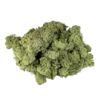 Abbildung von Ideen mit Herz Islandmoos waldgrün Deko Moos Naturprodukt 200 g