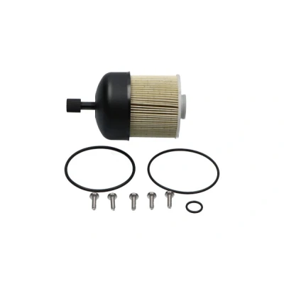 Abbildung von KAVO PARTS NF 2480 Kraftstofffilter Leitungsfilter, ohne Wassersensor RENAULT: Kangoo II Express, / Grand Kangoo, Clio 4 Schrägheck