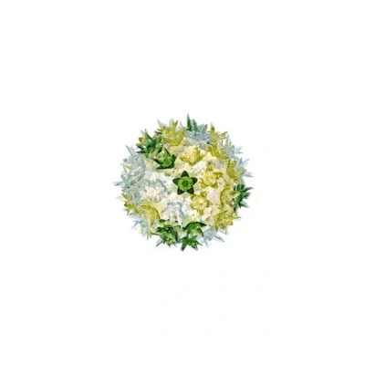 Abbildung von Kartell Bloom CW2 LED Deckenleuchte G9, minze