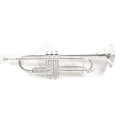 Abbildung von Roy Benson Bb Trompete TR 202S (Langlebige Messingkonstruktion, mit leichtem Rechtecketui, Rucksackgarnitur, erstklassige Edelstahl Ventile, für professionelle Musiker), versilbert