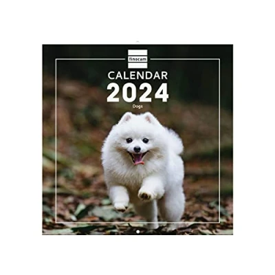 Abbildung von Finocam Calendar 2024 International Wall Images January December (12 Months) Dogs