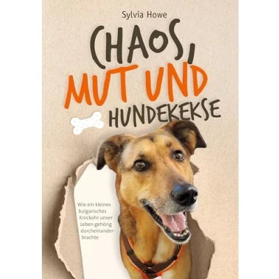 Abbildung von Chaos, Mut und Hundekekse: Wie ein kleines bulgarisches Knickohr unser Leben gehörig durcheinanderbrachte