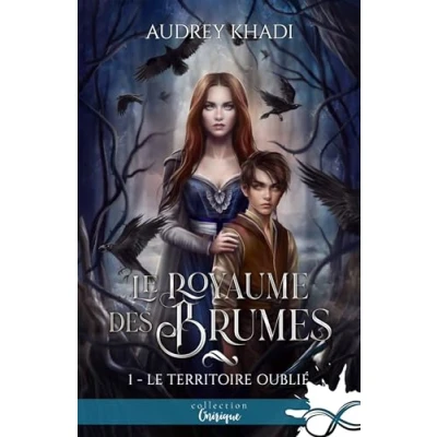 Abbildung von Le territoire oublié: royaume des Brumes, T1