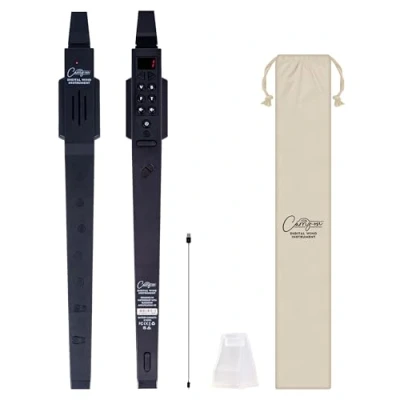 Abbildung von Carry On Digital Wind Instrument