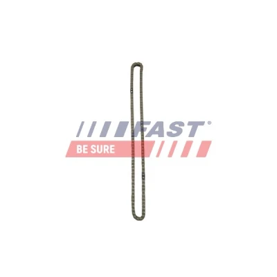 Abbildung von Steuerkette FAST FT41807