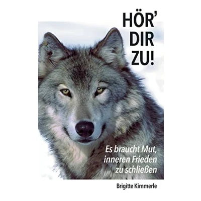 Abbildung von HÖR&#039; DIR ZU!: Es braucht Mut, inneren Frieden zu schließen