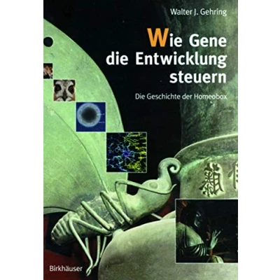 Abbildung von Wie Gene Die Entwicklung steuern: Geschichte der Homeobox (German Edition)