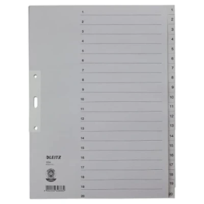 Abbildung von Leitz Register A4+ Tauenpapier 1 20 grau