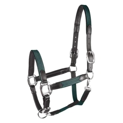 Abbildung von Waldhausen STAR Halfter MIX Cob Grün
