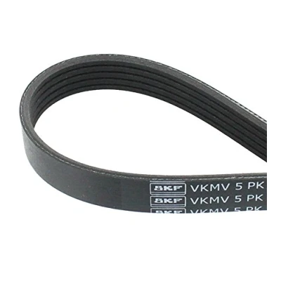Abbildung von SKF VKMV 5PK1219 Keilrippenriemen 1219 5 VOLKSWAGEN: Lupo / 3L, Polo III Schrägheck, Caddy 2 Pickup, SKODA: Fabia 1 Combi, I Schrägheck