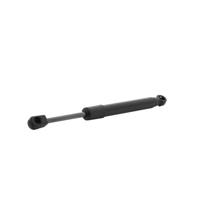 Abbildung von RIDEX 514G0193 Motorhaubendämpfer 355 RENAULT: SCENIC 3, GRAND 3