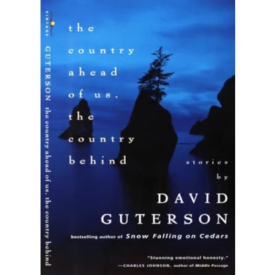 Abbildung von The Country Ahead of Us, Behind: Stories (Vintage Contemporaries)