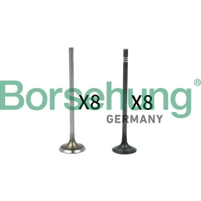 Abbildung von Ventil Borsehung B18631